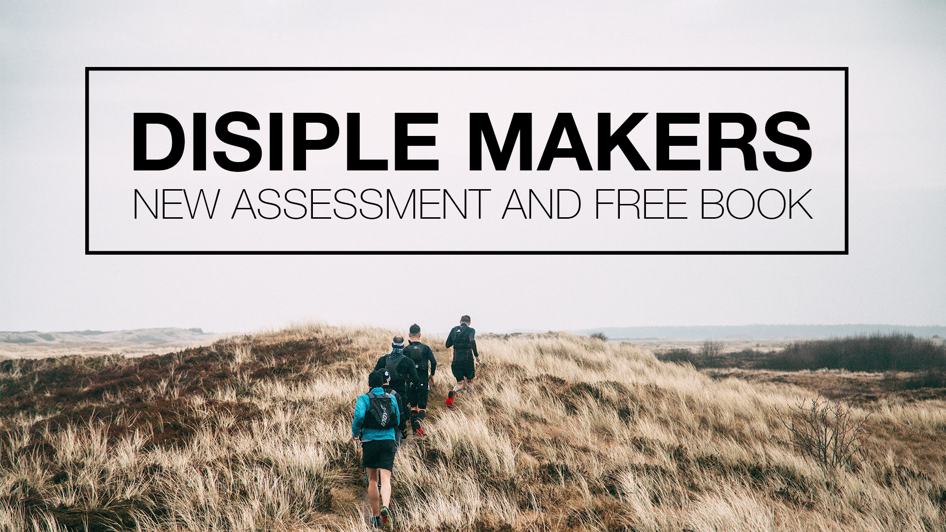 New Assessment and Free Book